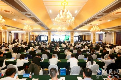 两家A股公司密集加仓，黄石产业标签春日焕新——纳沃盖森电子科技迎来价值重估